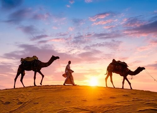 Jodhpur Jaisalmer Tour Packages