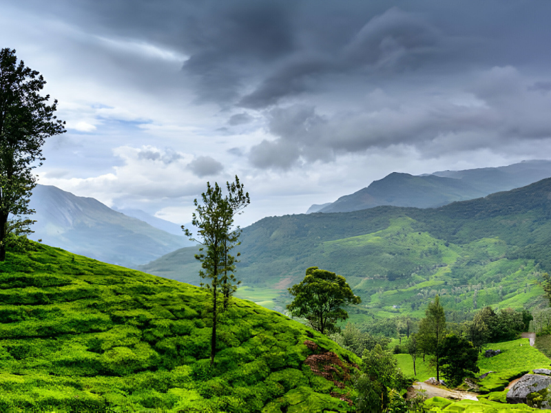 Wayanad