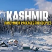 Kashmir Honeymoon Packages for Couples