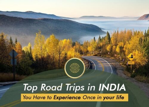 Top Road Trips in India You Have to Experience Once in your life