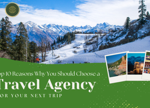 Top 10 Reasons Why You Should Choose a Travel Agency for Your Next Trip