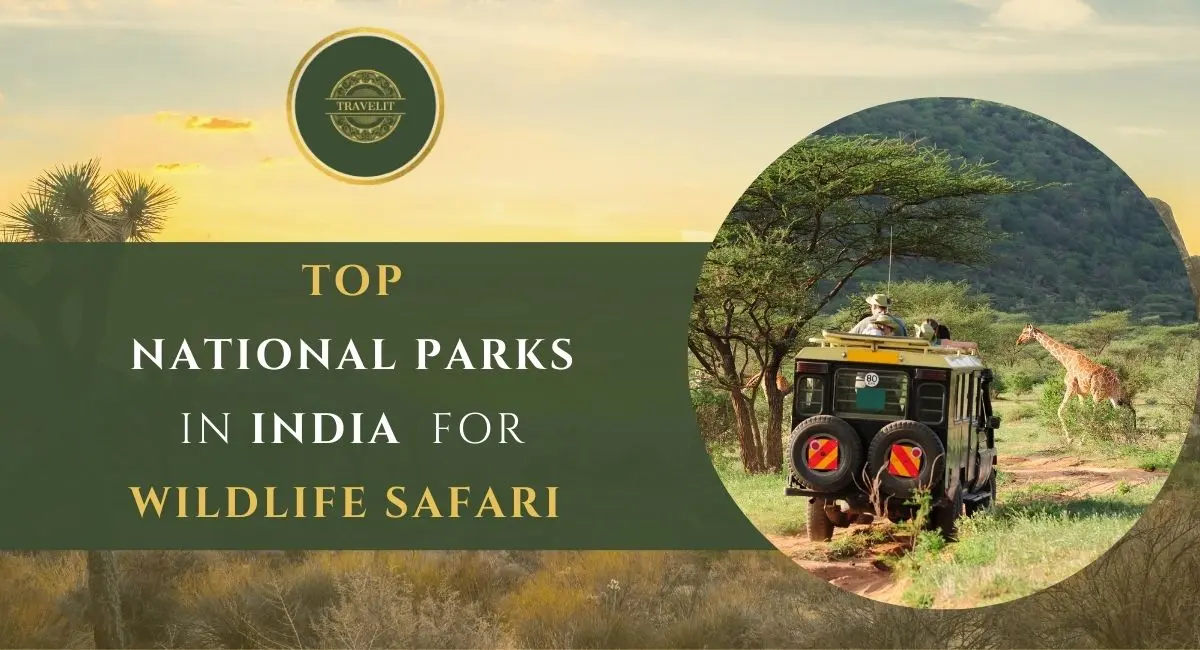 Top National Parks in India for Wildlife Safaris