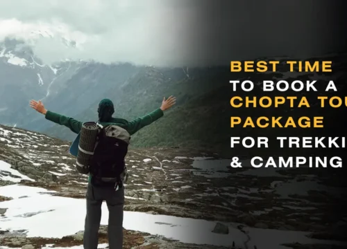 Best Time to Book a Chopta Tour Package for Trekking & Camping