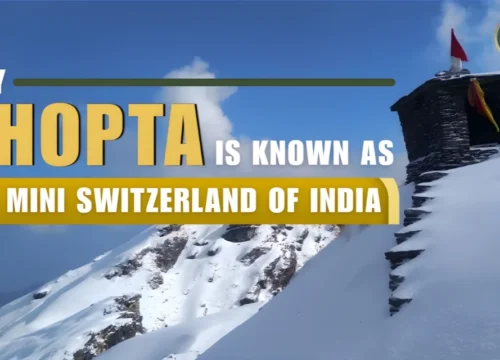 Why Chopta is Known as the Mini Switzerland of India