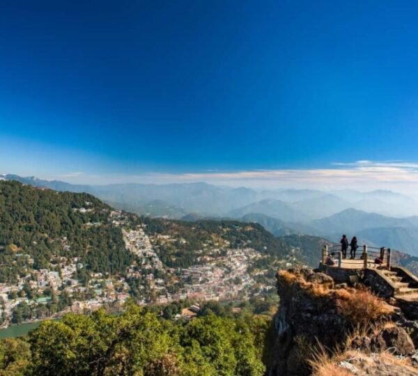 See Tiffin Top (Dorothy Seats)