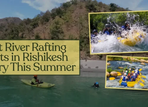 Best River Rafting Spots in Rishikesh to Try This Summer